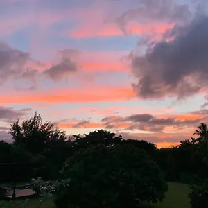 https://north-shore-garden-studio.hotelsinhawaii.org